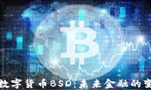 
深入探讨数字货币BSD：未来金融的变革与机遇